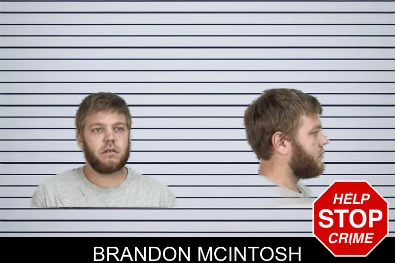 Brandon McIntosh mugshot – Camden County , Georgia Brandon McIntosh mugshot