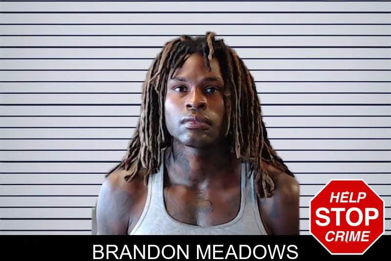 Brandon Meadows mugshot – DeKalb County , Georgia Brandon Meadows mugshot