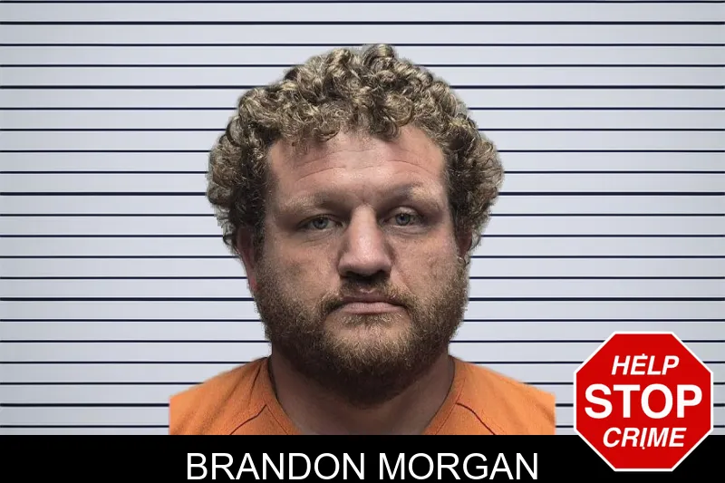 Brandon Morgan mugshot