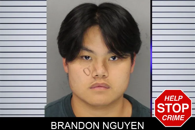 Brandon Nguyen mugshot