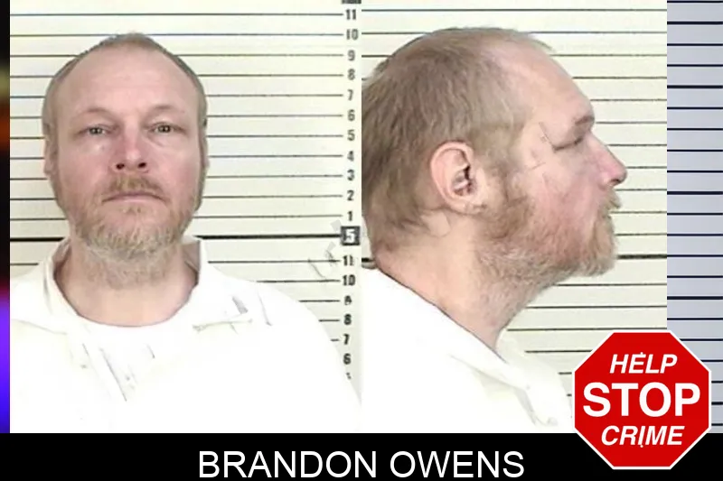 Brandon Owens mugshot – Camden County , Georgia Brandon Owens mugshot