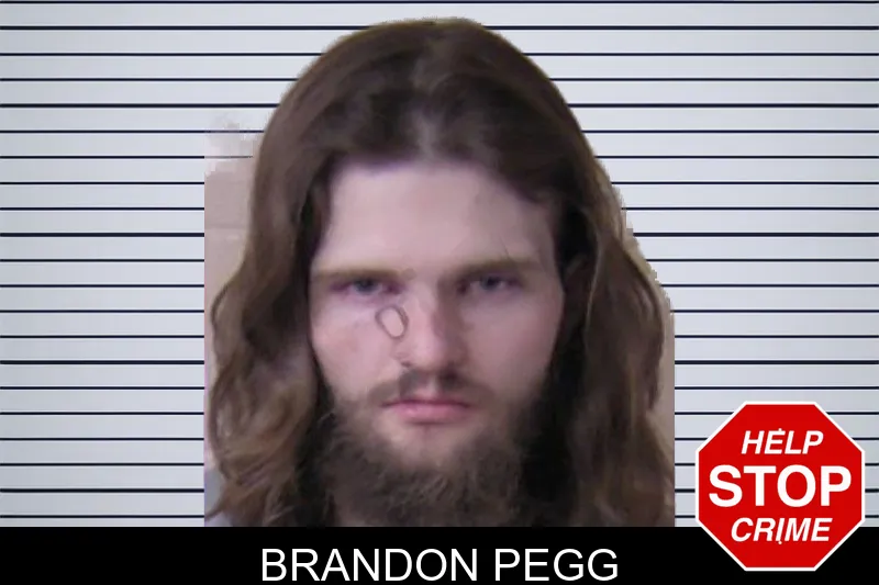 Brandon Pegg mugshot – Walker County , Georgia Brandon Pegg mugshot