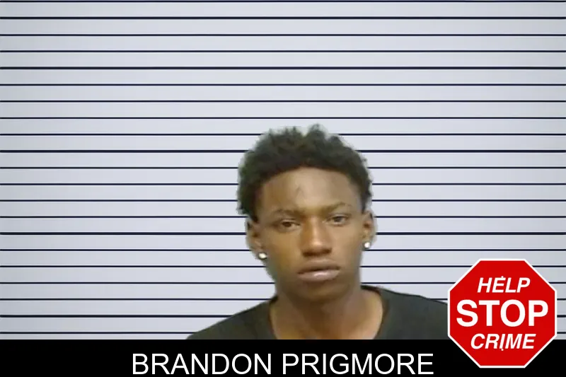 Brandon Prigmore mugshot – Fulton County , Georgia Brandon Prigmore mugshot