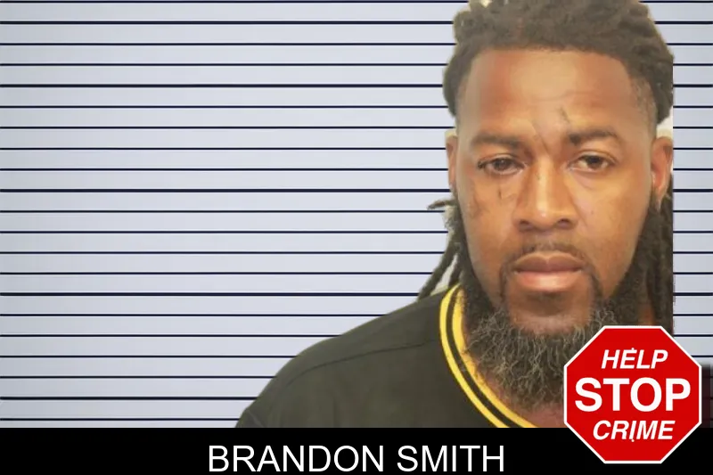 Brandon Smith mugshot – Chatham County , Georgia Brandon Smith mugshot