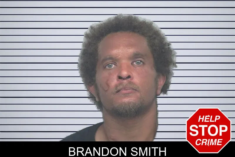 Brandon Smith mugshot – Gwinnett County , Georgia Brandon Smith mugshot