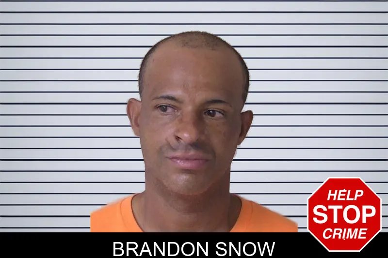 Brandon Snow mugshot