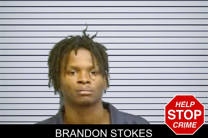 Brandon Stokes mugshot – Fulton County , Georgia Brandon Stokes mugshot