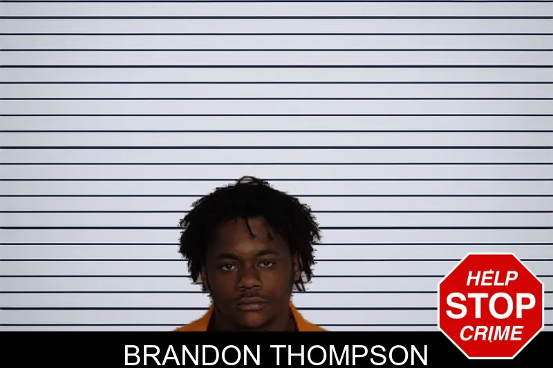 Brandon Thompson mugshot – Rockdale County , Georgia Brandon Thompson mugshot