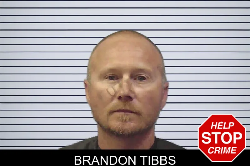 Brandon Tibbs mugshot – Chattooga County , Georgia Brandon Tibbs mugshot