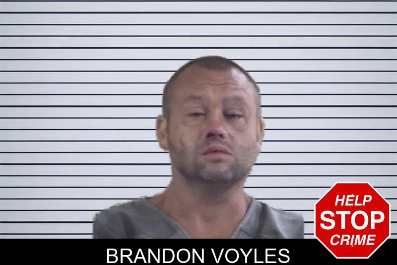 Brandon Voyles mugshot – Whitfield County , Georgia Brandon Voyles mugshot