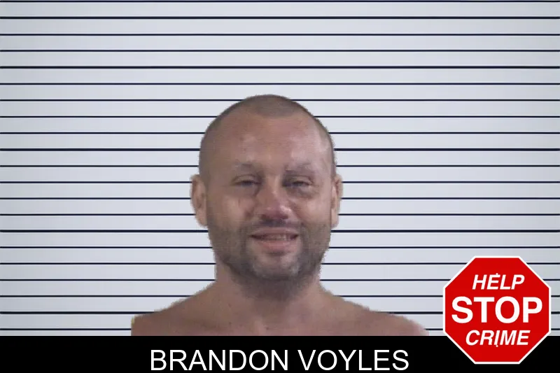 Brandon Voyles mugshot