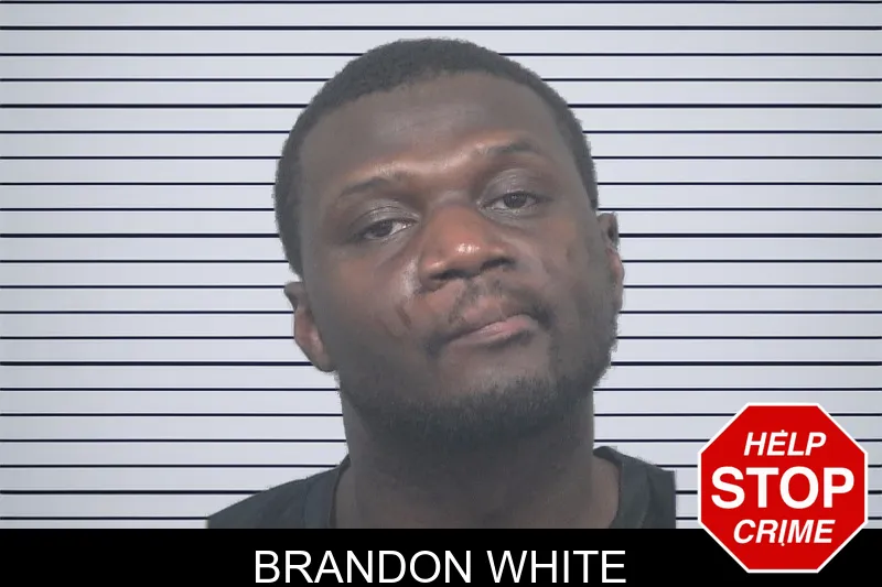 Brandon White mugshot