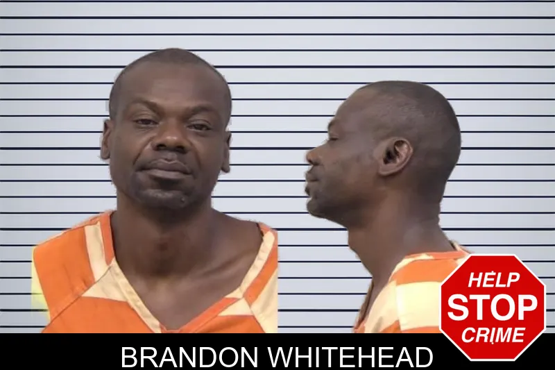 Brandon Whitehead mugshot