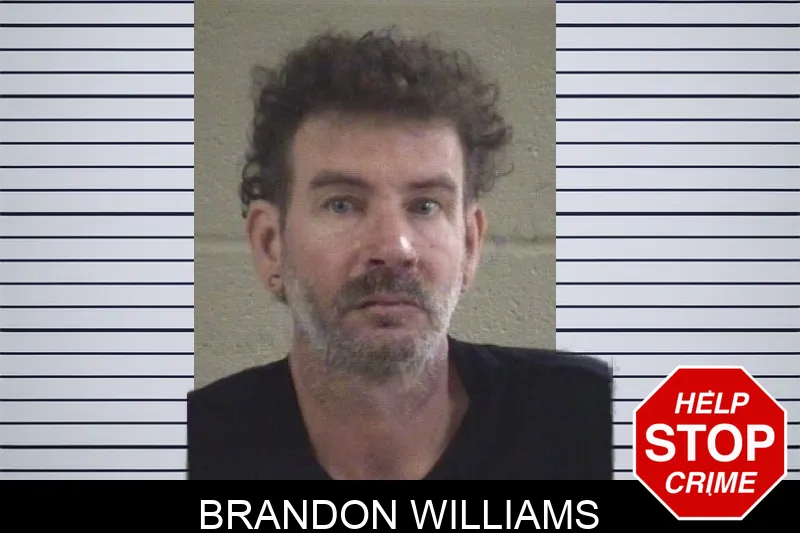 Brandon Williams mugshot – Whitfield County , Georgia Brandon Williams mugshot