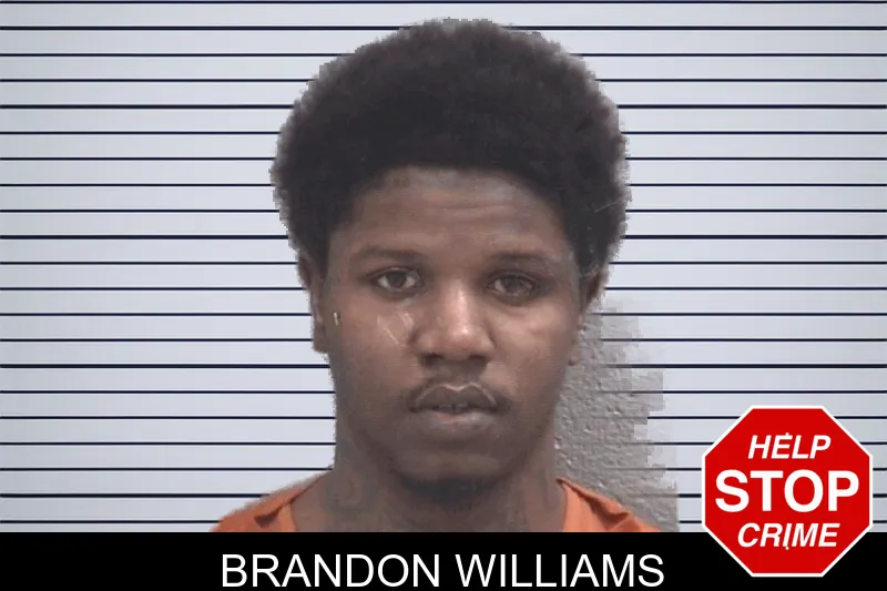 Brandon Williams mugshot – Columbia County , Georgia Brandon Williams mugshot