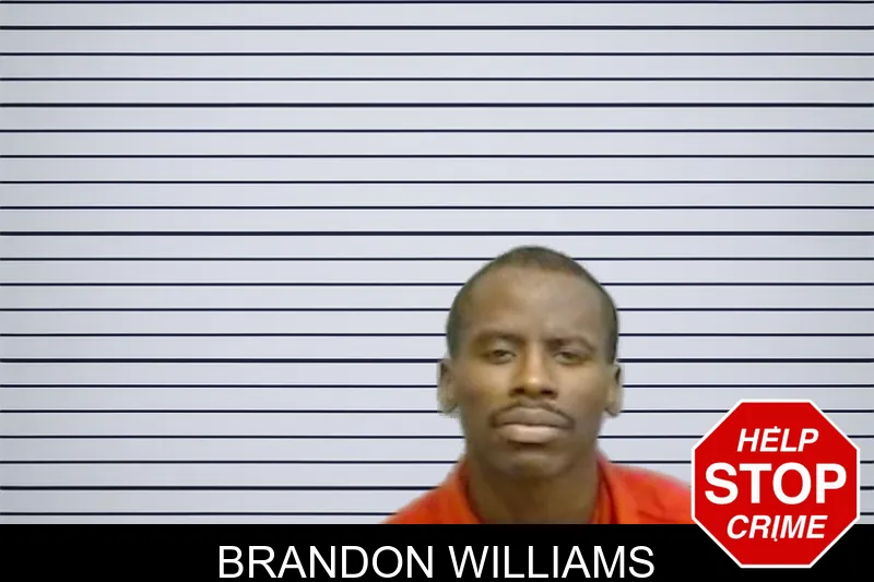 Brandon Williams mugshot