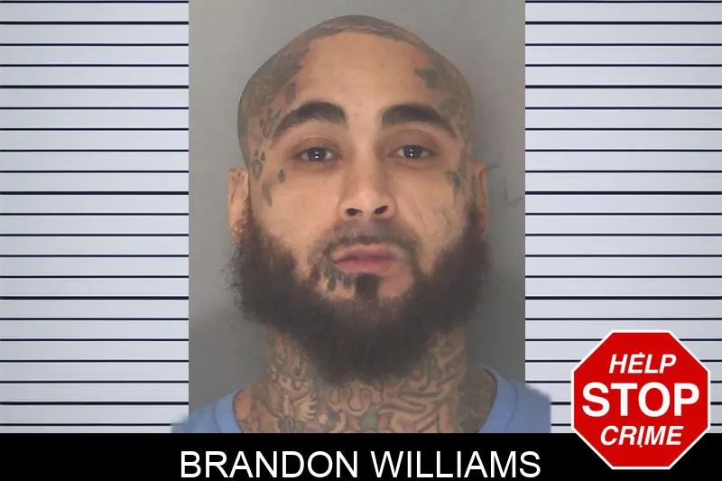 Brandon Williams mugshot – Douglas County , Georgia Brandon Williams mugshot