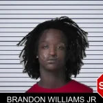 Brandon Williams Jr mugshot
