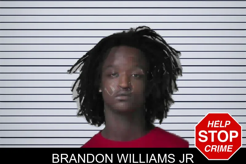 Brandon Williams Jr mugshot