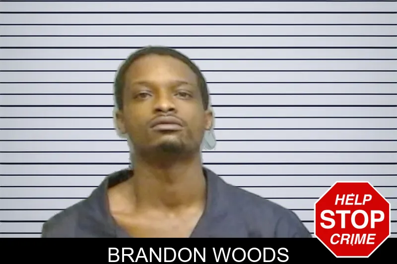 Brandon Woods mugshot
