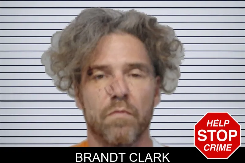 Brandt Clark mugshot