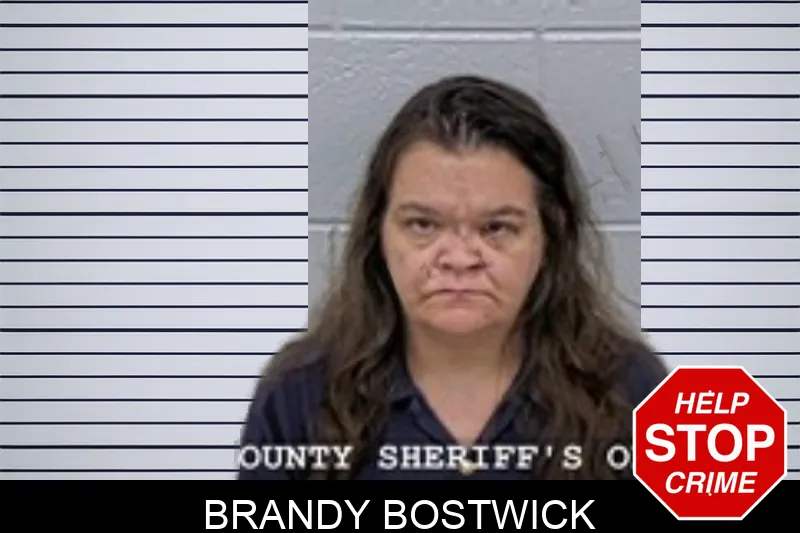 Brandy Bostwick mugshot – Walton County , Georgia Brandy Bostwick mugshot