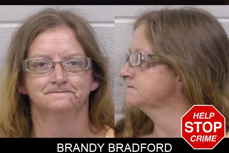 Brandy Bradford mugshot
