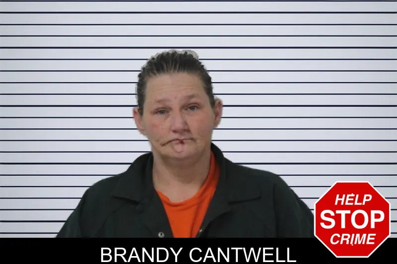 Brandy Cantwell mugshot