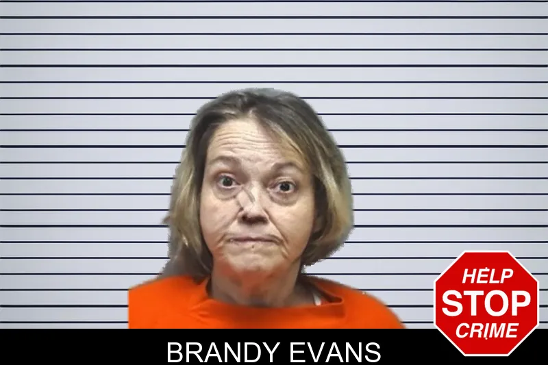 Brandy Evans mugshot – Cherokee County , Georgia Brandy Evans mugshot