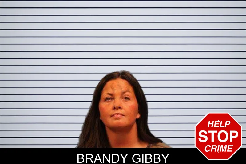 Brandy Gibby mugshot – Monroe County , Georgia Brandy Gibby mugshot