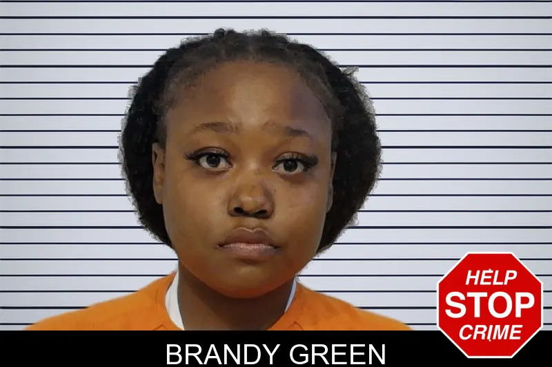 Brandy Green mugshot – Bibb County , Georgia Brandy Green mugshot