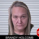 Brandy Holcomb mugshot – Walker County , Georgia Brandy Holcomb mugshot