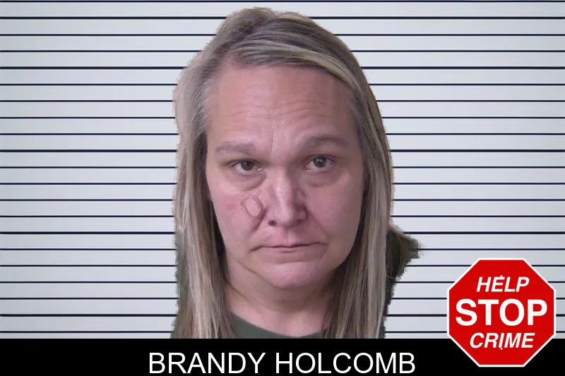 Brandy Holcomb mugshot – Walker County , Georgia Brandy Holcomb mugshot