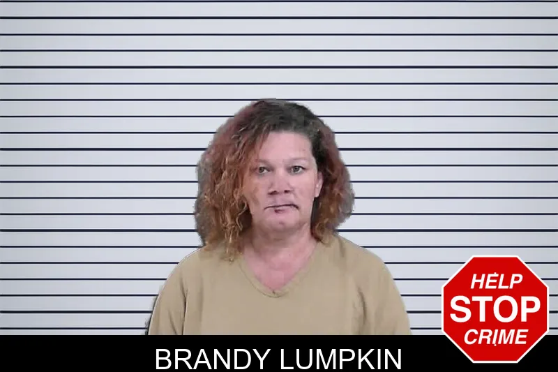 Brandy Lumpkin mugshot
