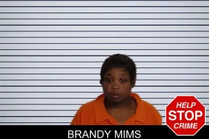Brandy Mims mugshot