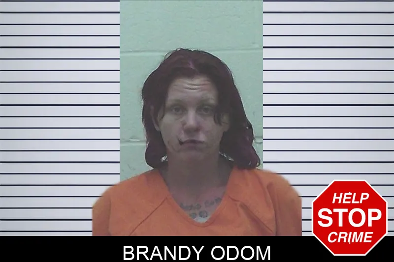 Brandy Odom mugshot – Worth County , Georgia Brandy Odom mugshot