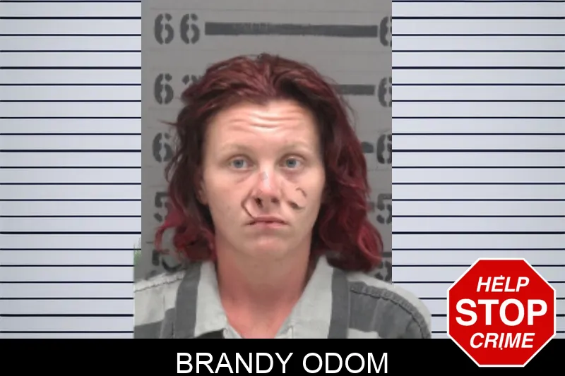 Brandy Odom mugshot – Dougherty County , Georgia Brandy Odom mugshot