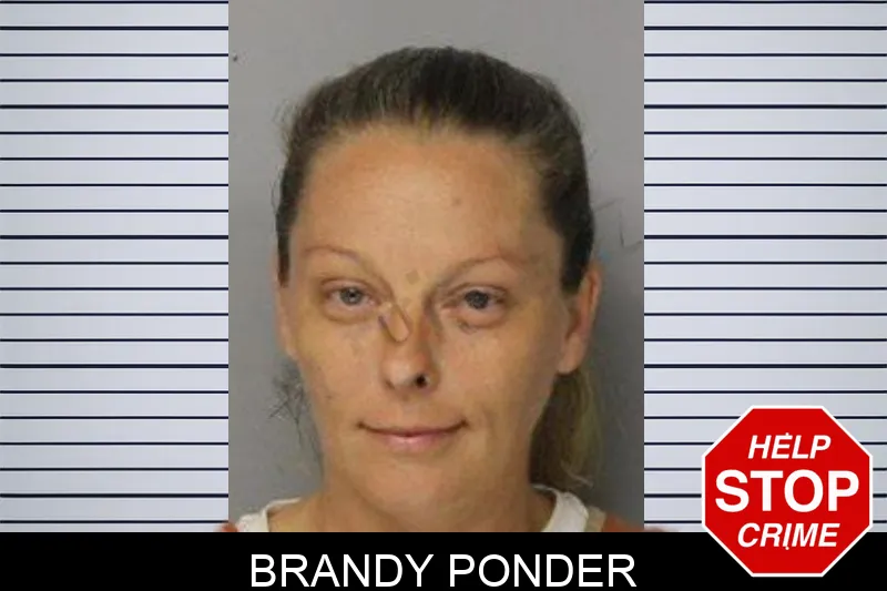 Brandy Ponder mugshot – Hall County , Georgia Brandy Ponder mugshot