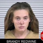 Brandy Redwine mugshot