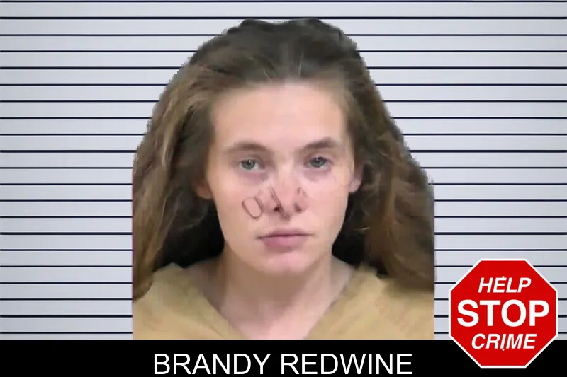 Brandy Redwine mugshot – Gordon County , Georgia Brandy Redwine mugshot