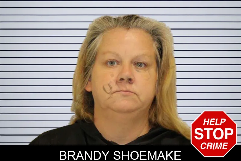 Brandy Shoemake mugshot – Carroll County , Georgia Brandy Shoemake mugshot