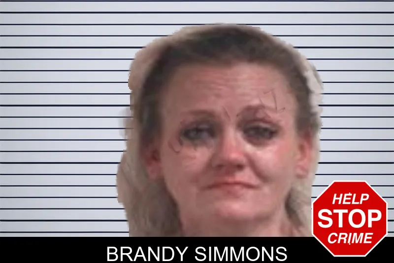 Brandy Simmons mugshot