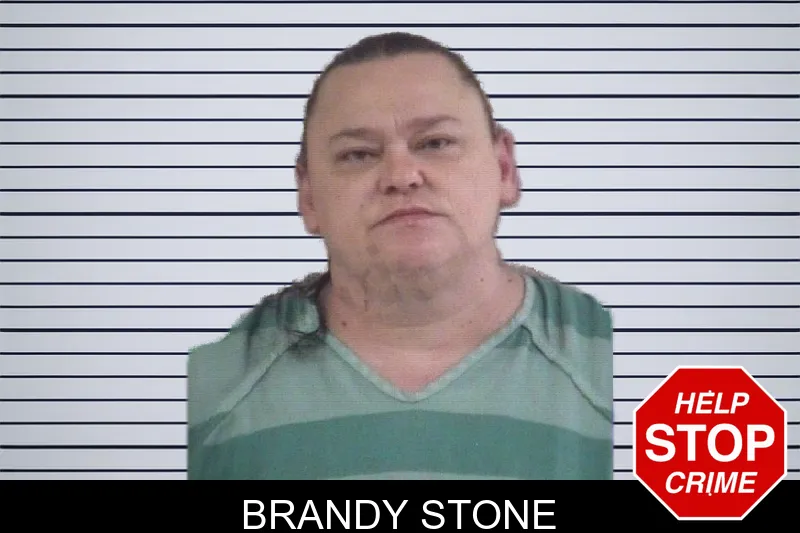 Brandy Stone mugshot – Whitfield County , Georgia Brandy Stone mugshot