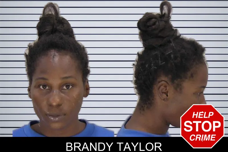 Brandy Taylor mugshot