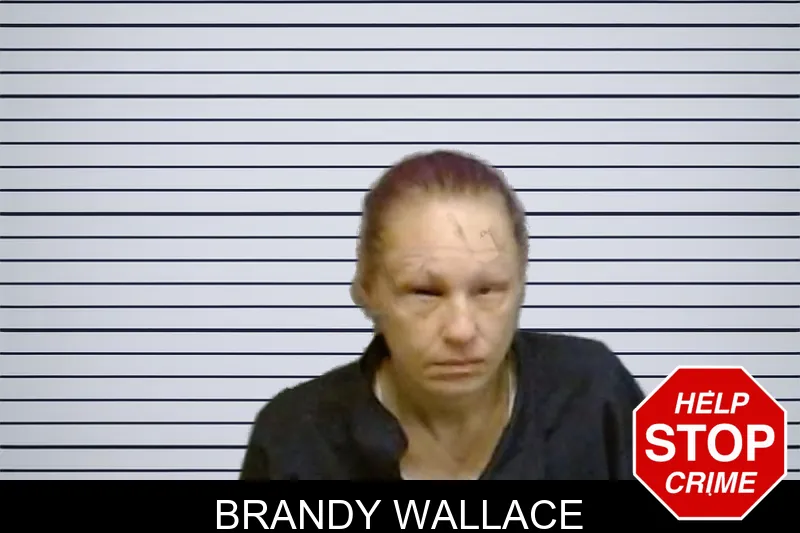 Brandy Wallace mugshot