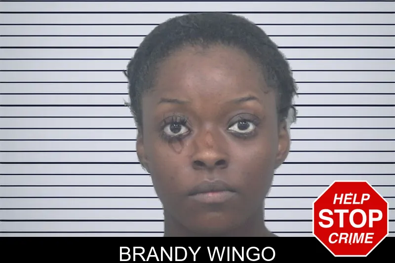 Brandy Wingo mugshot