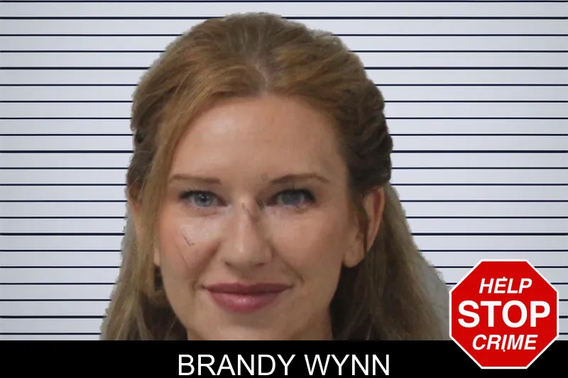 Brandy Wynn mugshot – Mcintosh County , Georgia Brandy Wynn mugshot