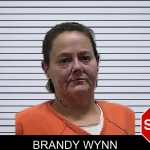 Brandy Wynn mugshot – Pierce County , Georgia Brandy Wynn mugshot