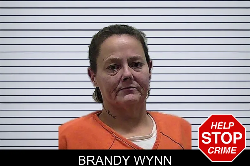 Brandy Wynn mugshot – Pierce County , Georgia Brandy Wynn mugshot