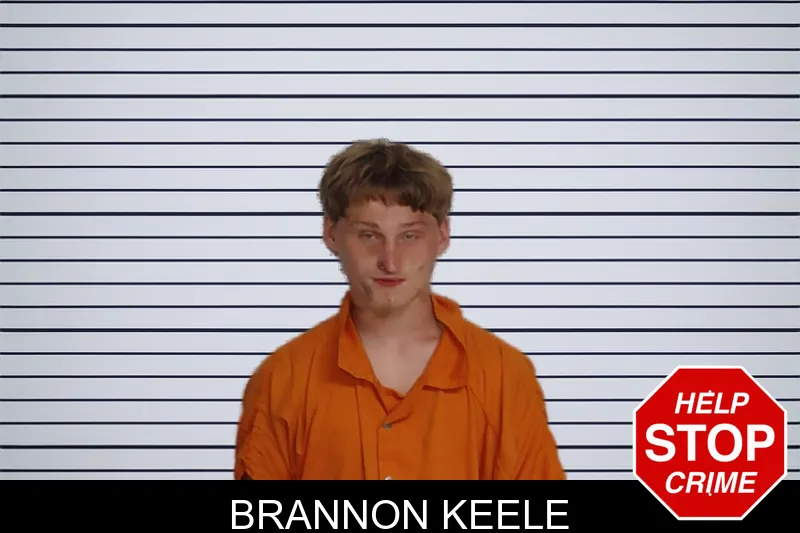 Brannon Keele mugshot – Rockdale County , Georgia Brannon Keele mugshot